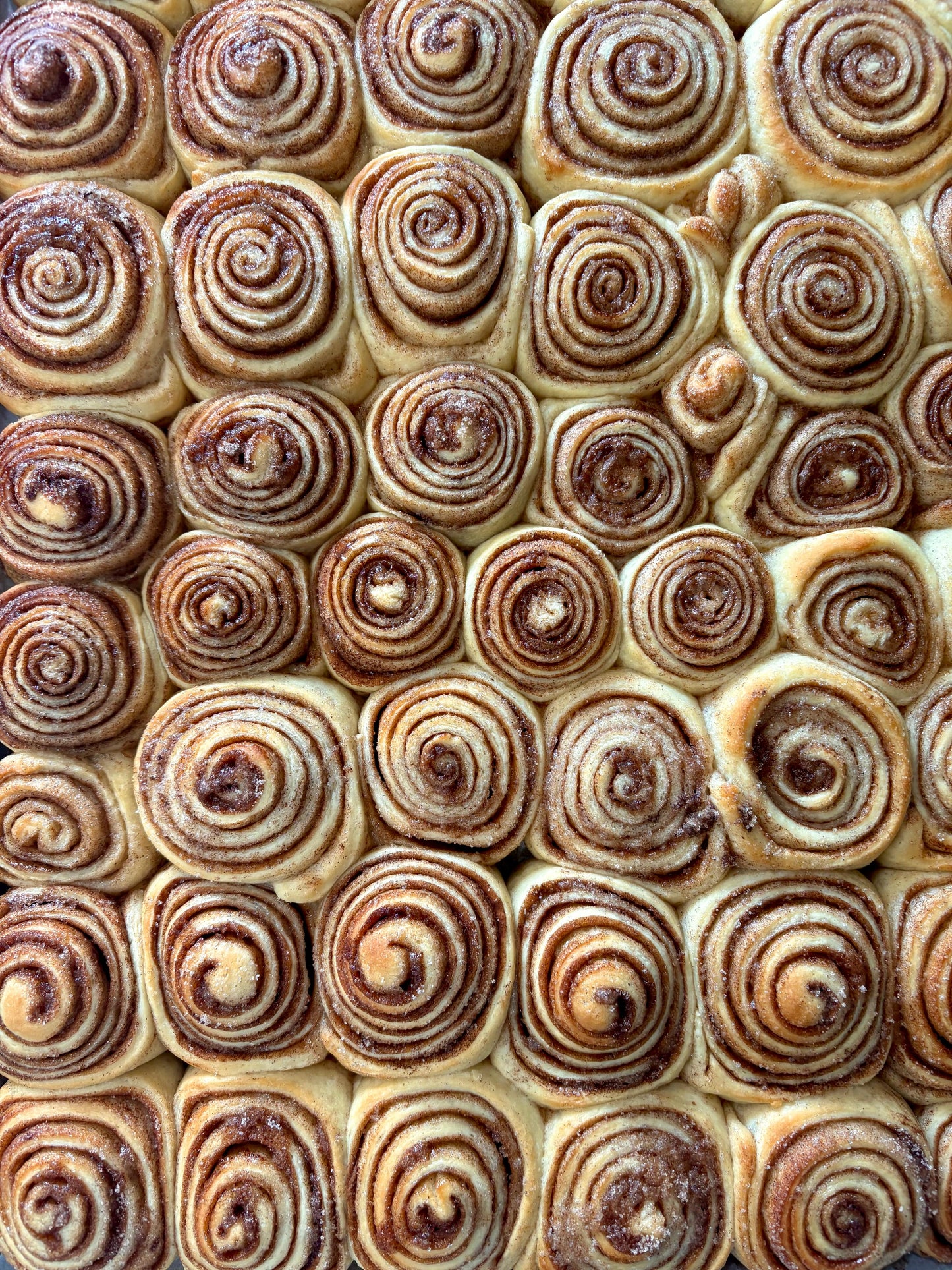 Cinnamon Buns